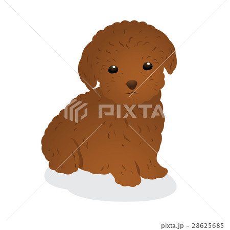 犬 犬 28625685