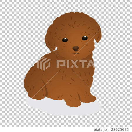 犬 犬 28625685