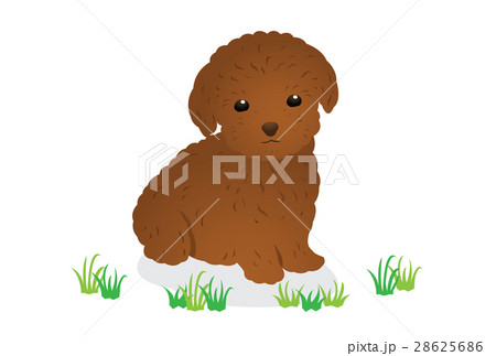 犬 犬 28625686