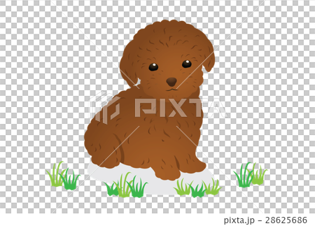 犬 犬 28625686