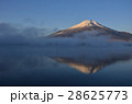朝靄と富士山 28625773