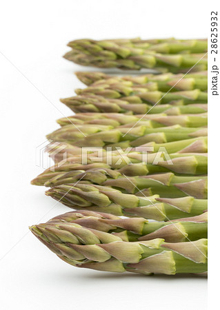 アスパラガス: aspergus アスパラガス: aspergus 28625932