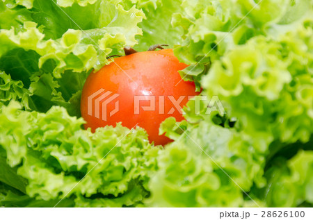 green fresh salad background ,organic natural 28626100
