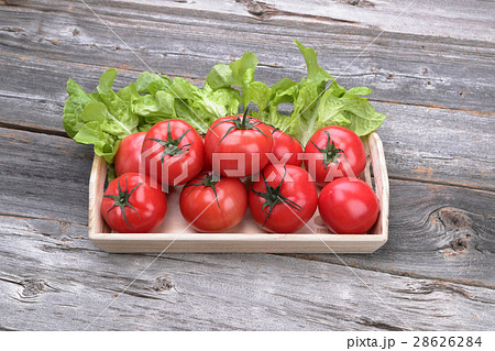 トレイ盛りのトマト 28626284