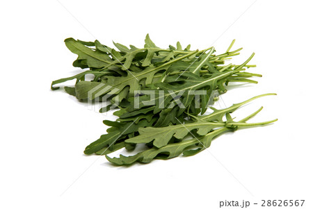 fresh rucola leaves isolated fresh rucola leaves isolated 28626567