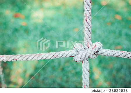 Rope knot in the grass background. 28626638