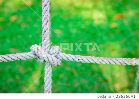 Rope knot in the grass background. 28626641