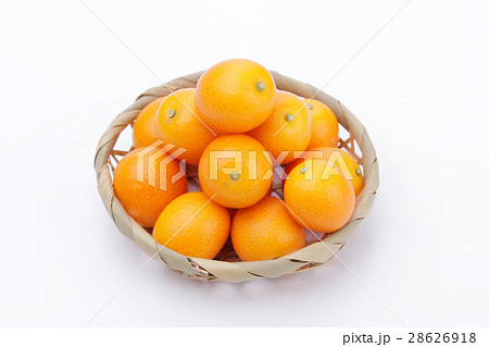 きんかんのかご盛 28626918