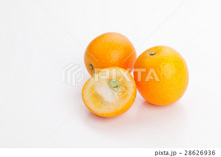 カットきんかんのアップ 28626936