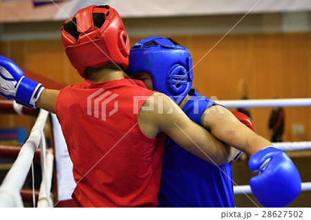 The duel of two boxers The duel of two boxers 28627502