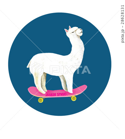 動物 動物学 かわいい 28628131