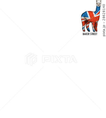 アルパカ あるぱか イギリス 28628140