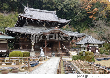 三室戸寺 三室戸寺 28628820