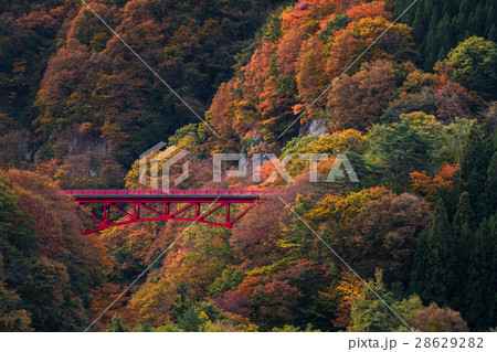 Beautiful Autumn scene in Takamura village 28629282
