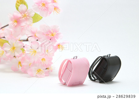 入学イメージ ランドセル 桜 入学イメージ ランドセル 桜 28629839