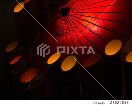 百華百彩 28629858