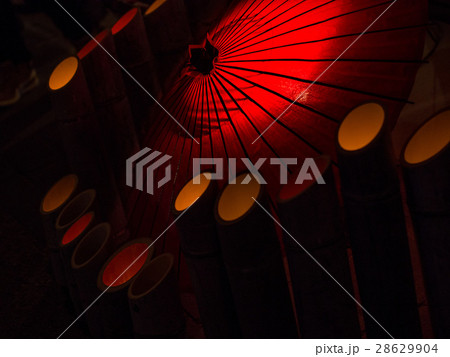 百華百彩 百華百彩 28629904