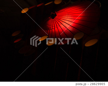 百華百彩 28629905