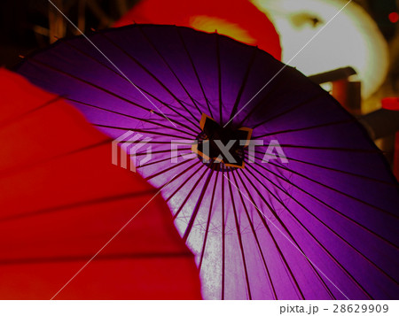 百華百彩 28629909