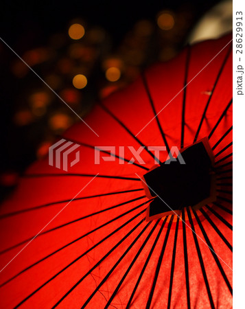 百華百彩 28629913