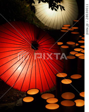 百華百彩 28630011