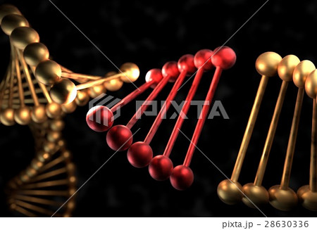 The DNA molecule with defective gene 3d 28630336