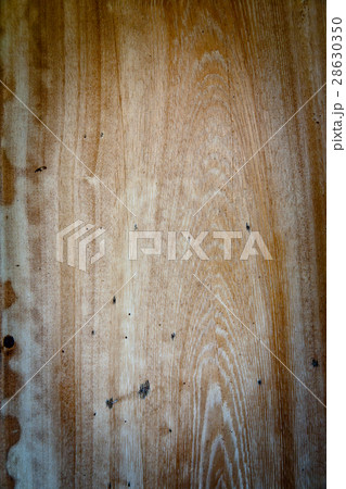 Pattern tree 28630350