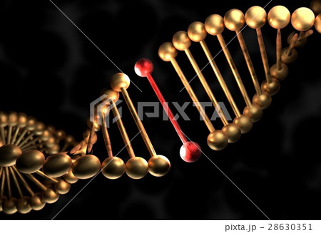 The DNA molecule with defective gene 3d 28630351