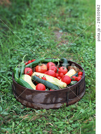 野菜いろいろ 28630962