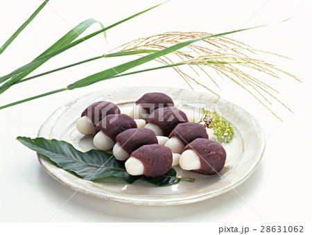 月見だんごとススキ 28631062
