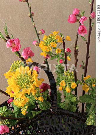 生け花 28631268