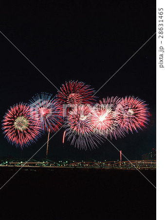 打ち上げ花火 打ち上げ花火 28631465