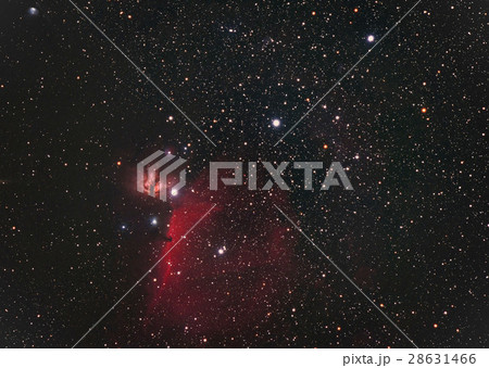 オリオン座三ツ星付近 28631466