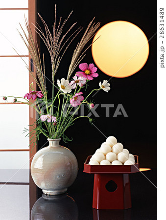 月見だんごと花 28631489