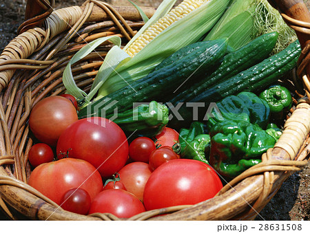 野菜いろいろ 28631508