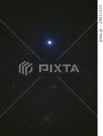 シリウス 28631535