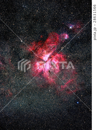 エータカリーナ星雲 エータカリーナ星雲 28631566