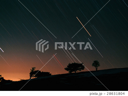 オリオン座 28631804