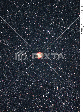 アレイ星雲 アレイ星雲 28631810