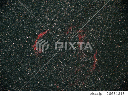 網状星雲 28631813