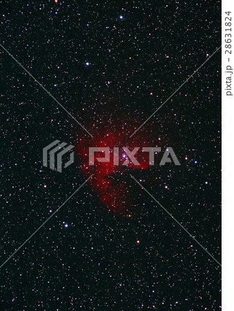 カシオペア座 カシオペア座 28631824