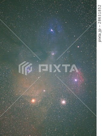 アンタレス 28631852