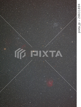 モンキー星雲 モンキー星雲 28631894