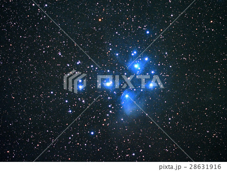 プレアデス星団 28631916