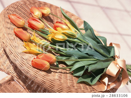 チューリップ 28633106