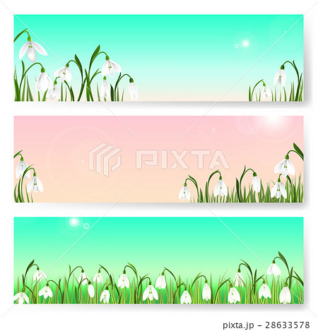 Spring background with snowdrop flowers, green 28633578