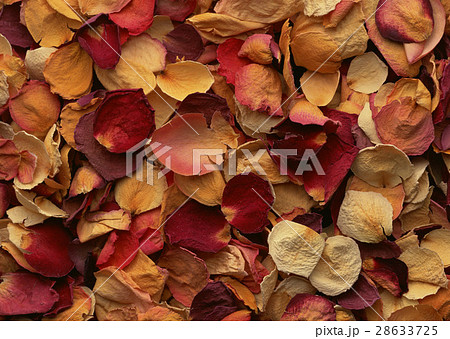 ポプリ ポプリ 28633725