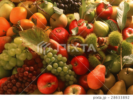 果物いろいろ 28633892