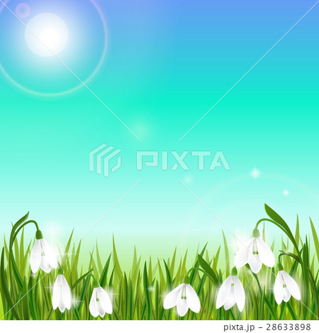 Spring background with snowdrop flowers, green 28633898