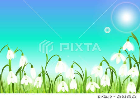 Spring background with snowdrop flowers, green 28633925